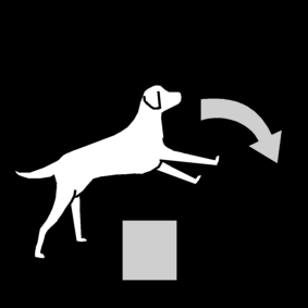 hond springen 2