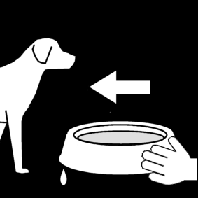 Hond water geven 3