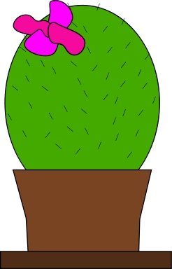 cactus_2
