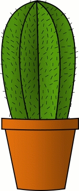 cactus_houseplant