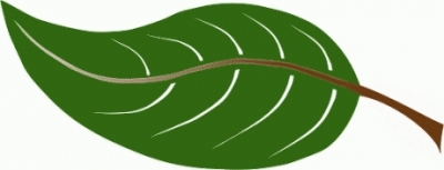 large_leaf