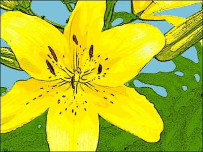 lily_yellow_clip_art
