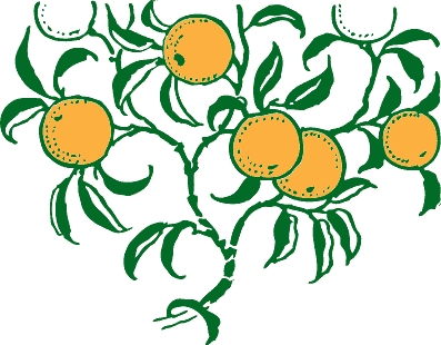 orange_branch