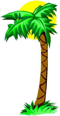 palm_tree_4