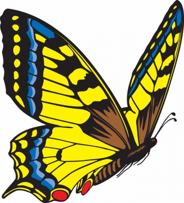 vlinder013
