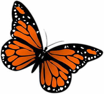 vlinder020