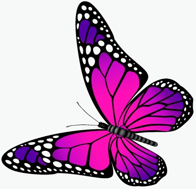 vlinder021