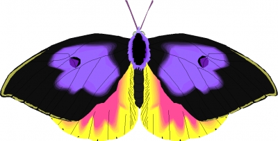 vlinders51