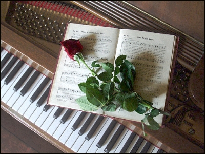 piano_w_rose