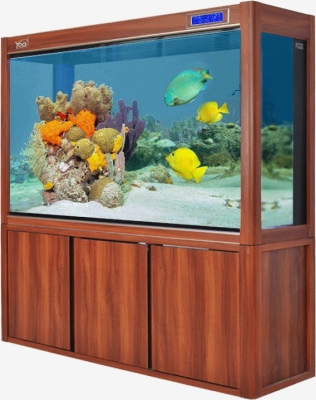 aquarium111b