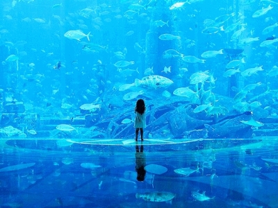 aquarium129b