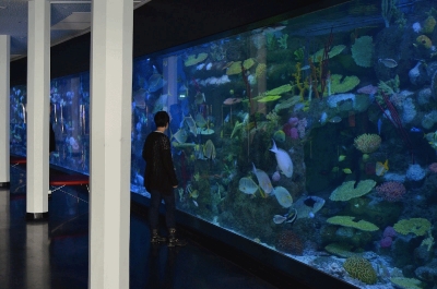 aquarium138b