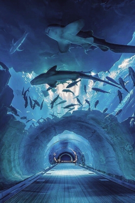 aquarium166b