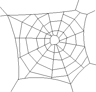 spiderweb_2
