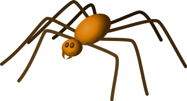 large_brown_spider