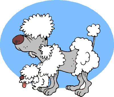 aging_poodle_toon