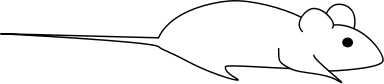 mouse_outline