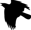 crow_flying_up