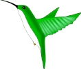 hummingbird_green