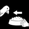 papegaai eten geven