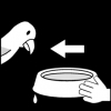 papegaai water geven