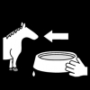 pony water geven