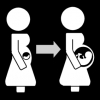 zwanger foetus groeit
