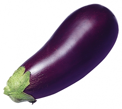 eggplant_photo